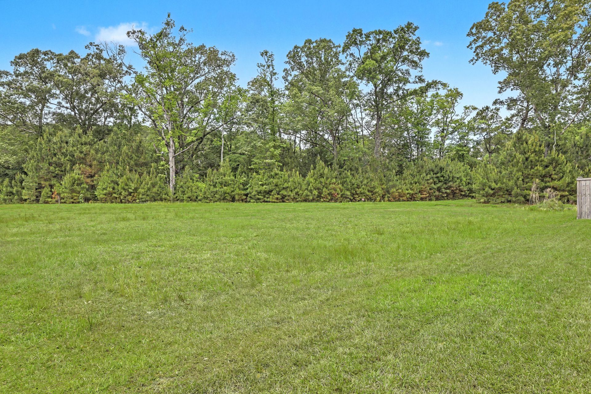 1042 Striped Lane Photo 29