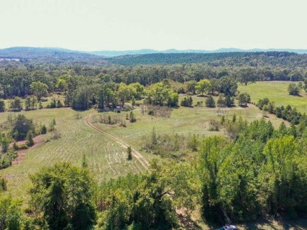 TBD STONEY POINT Road, Oden, AR 71961