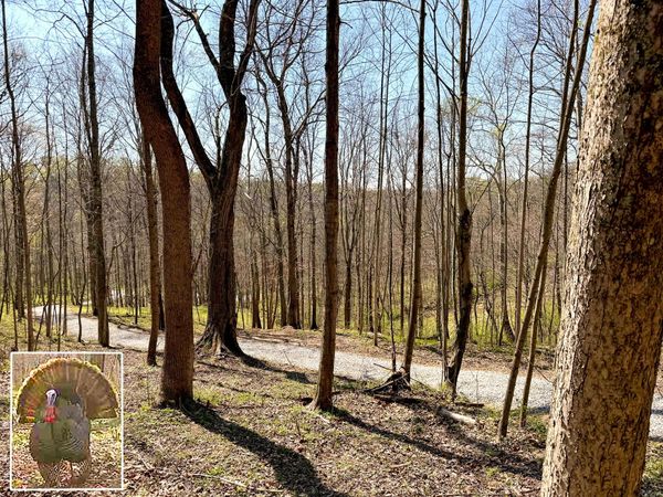 0 Little Kyger Road, Unit (Little Ky, Cheshire, OH 45620