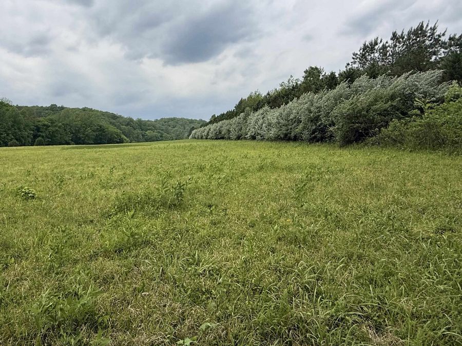 Property Image 67