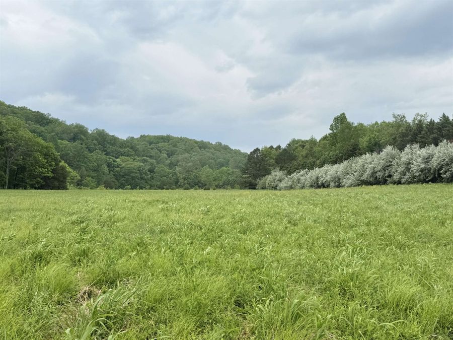 Property Image 69