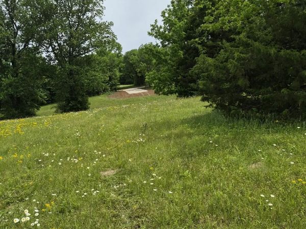 0 Co Rd 125, Rogersville, AL 35652