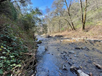 17252 Sutter Creek Rd, Sutter Creek, CA 95685 Photo