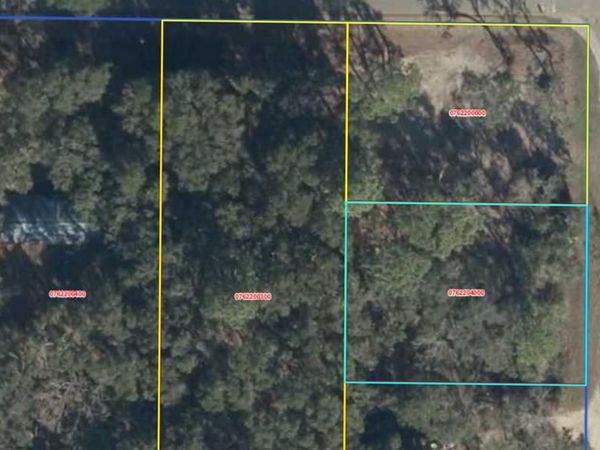 16850 NW 80th Ave, Fanning Springs, FL 32693