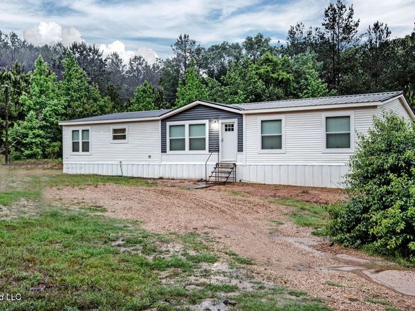 155 Dewitt Flynt Road, Mendenhall, MS 39114