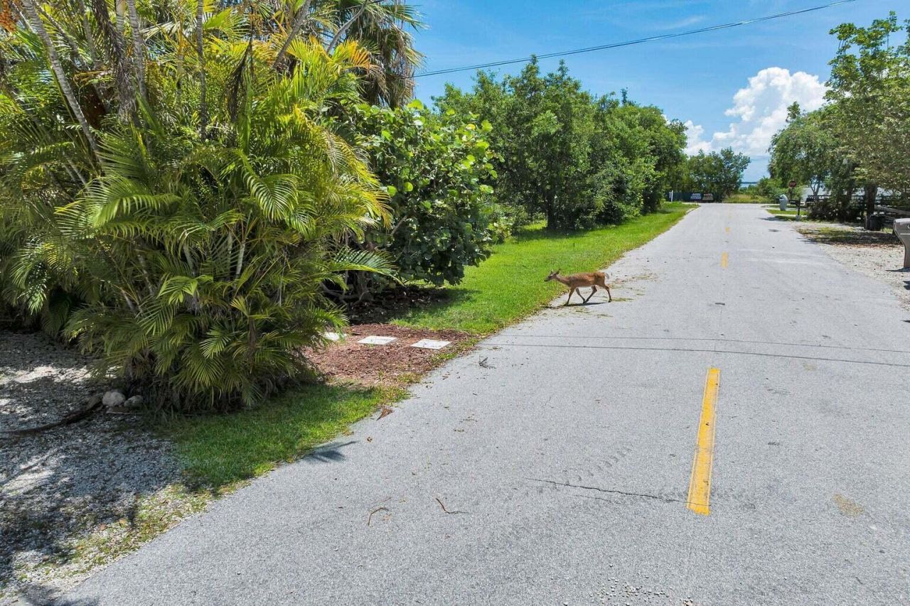 30461 Poinciana Road, Big Pine Key, FL 33043 Photo