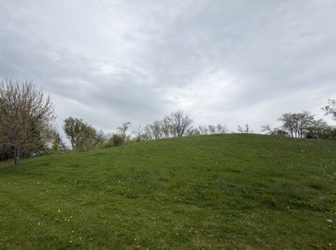 Main Photo
