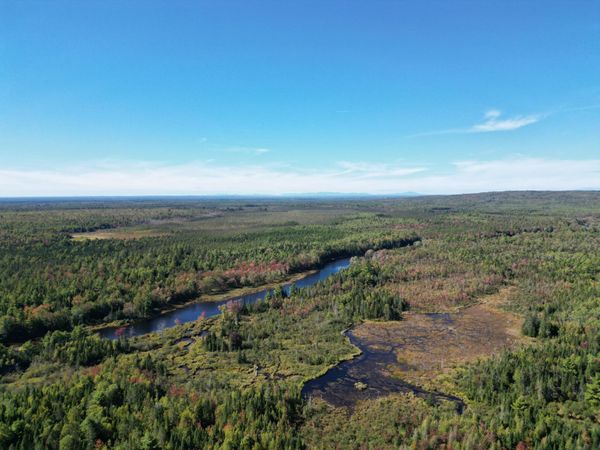 Lot 14 Whitetail Way, Lowell, ME 04493