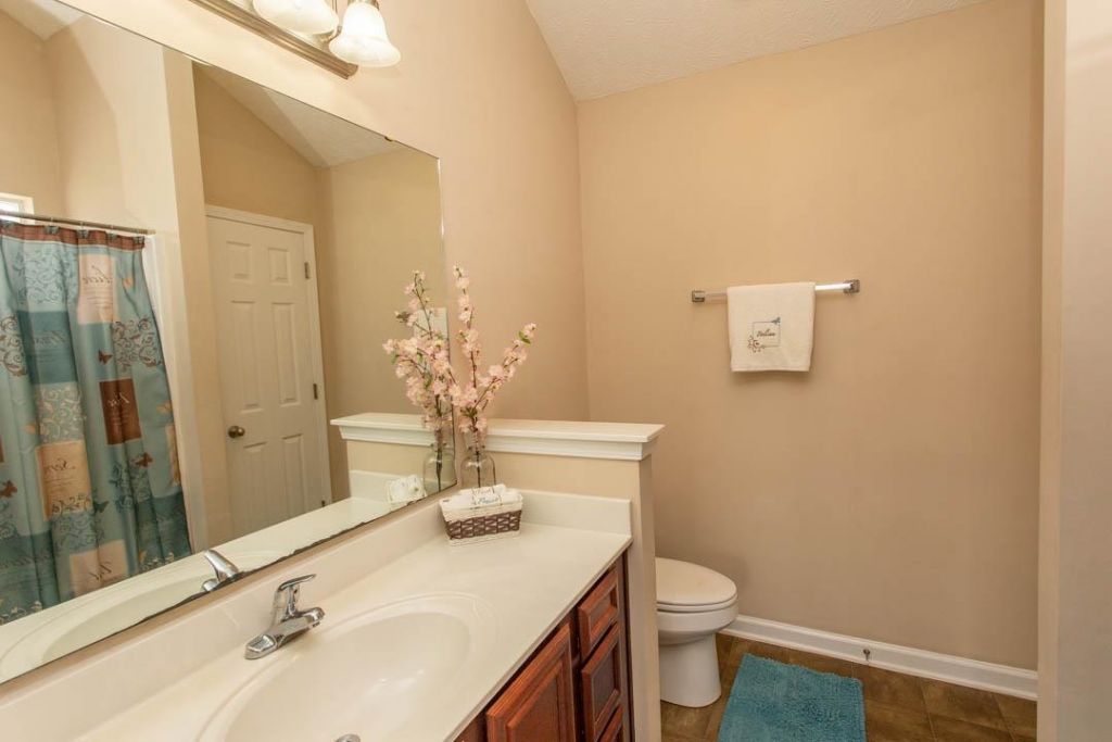 333 Carolina Springs Ct. Photo 18