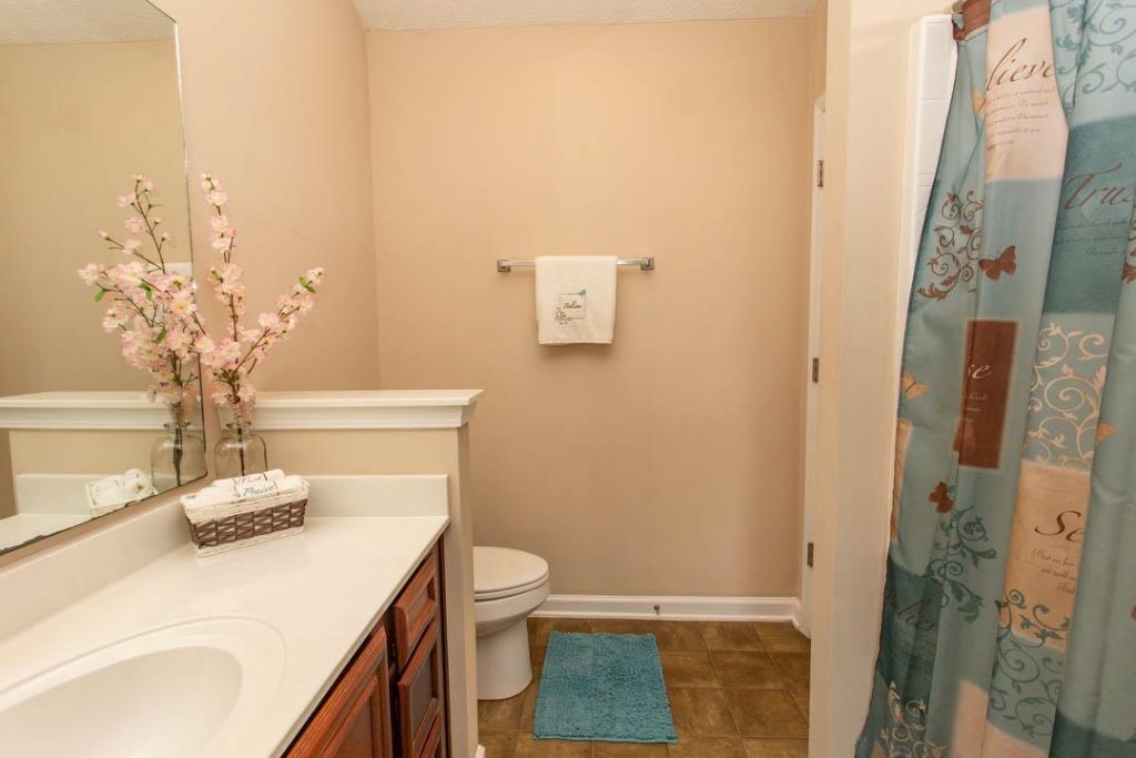 333 Carolina Springs Ct. Photo 19