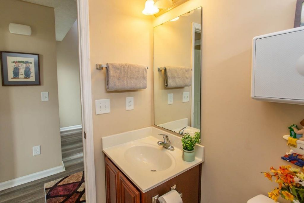 333 Carolina Springs Ct. Photo 28