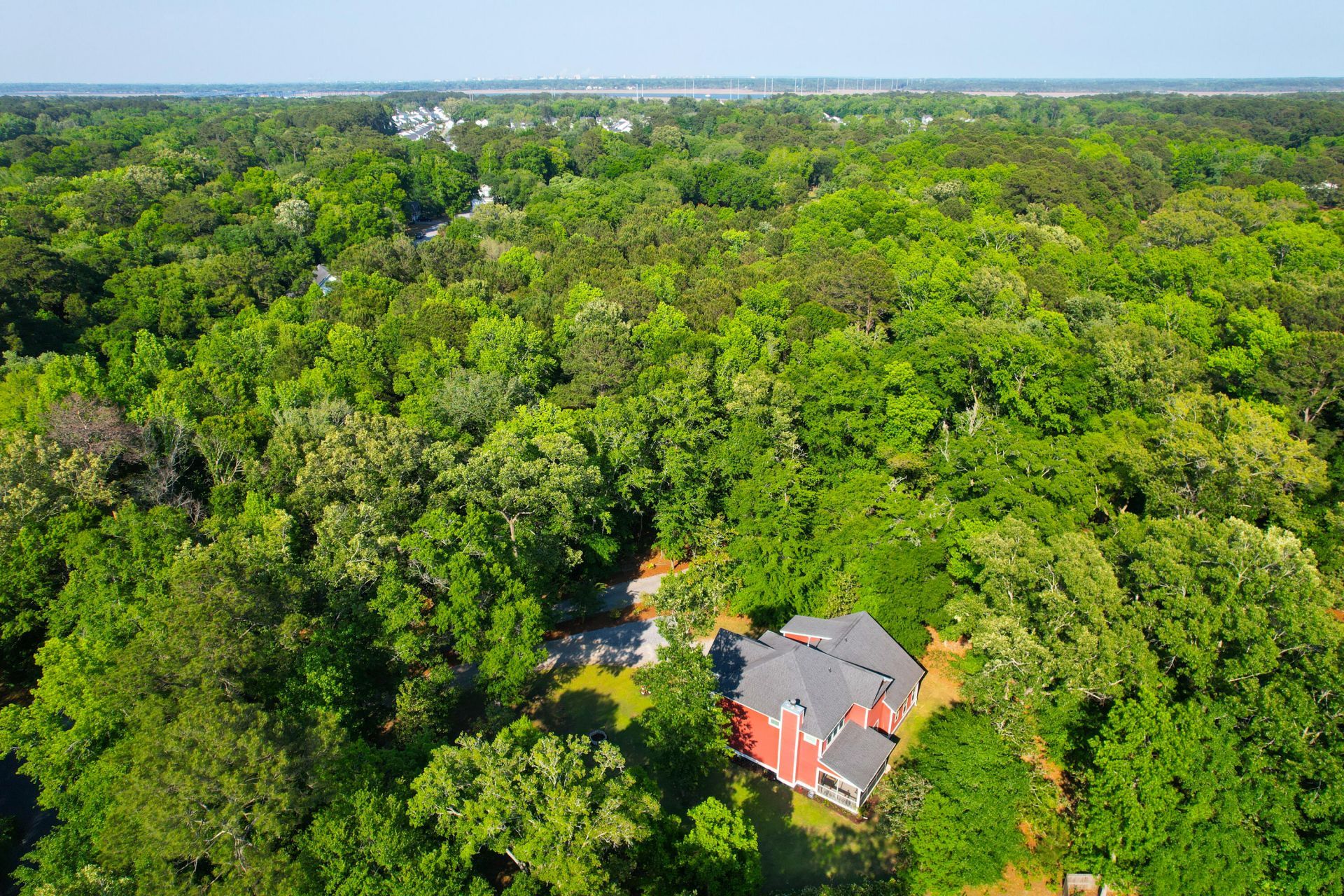 2951 Olivia Marie Lane Photo 75