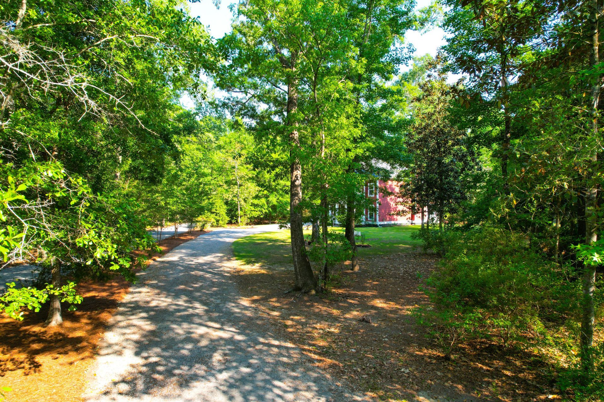 2951 Olivia Marie Lane Photo 8