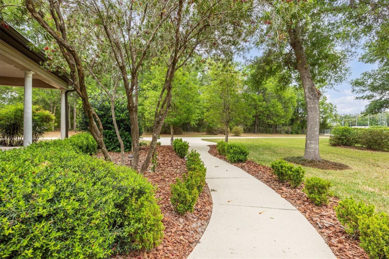 9902 SW 124th Terrace , Archer, FL 32618 Photo