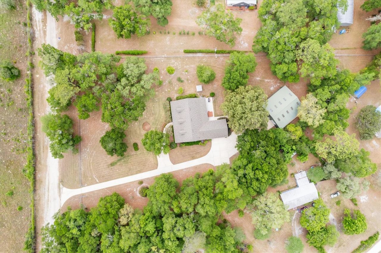 9902 SW 124th Terrace , Archer, FL 32618 Photo