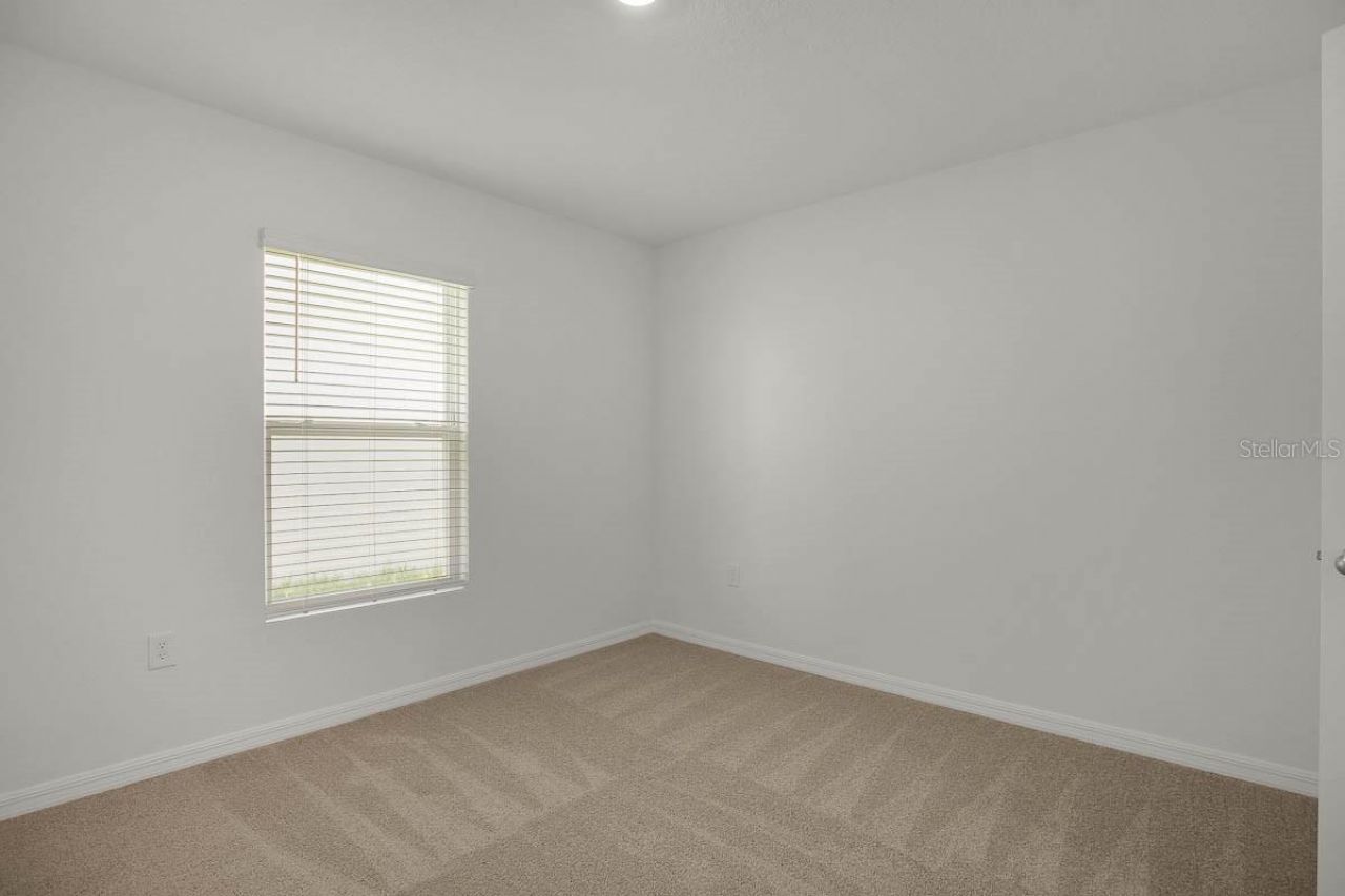 16530 Windmill Forge Pass, Wimauma, FL 33598 Photo