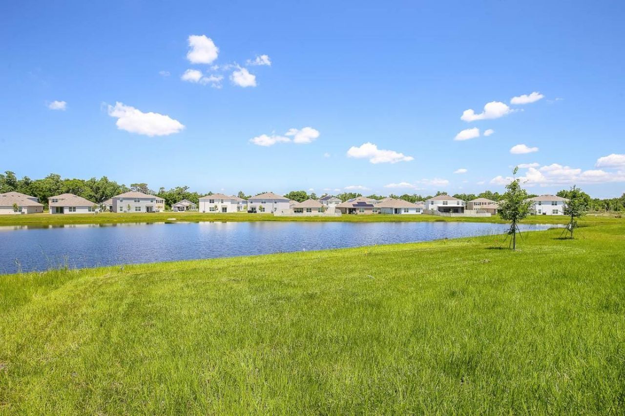 16530 Windmill Forge Pass, Wimauma, FL 33598 Photo