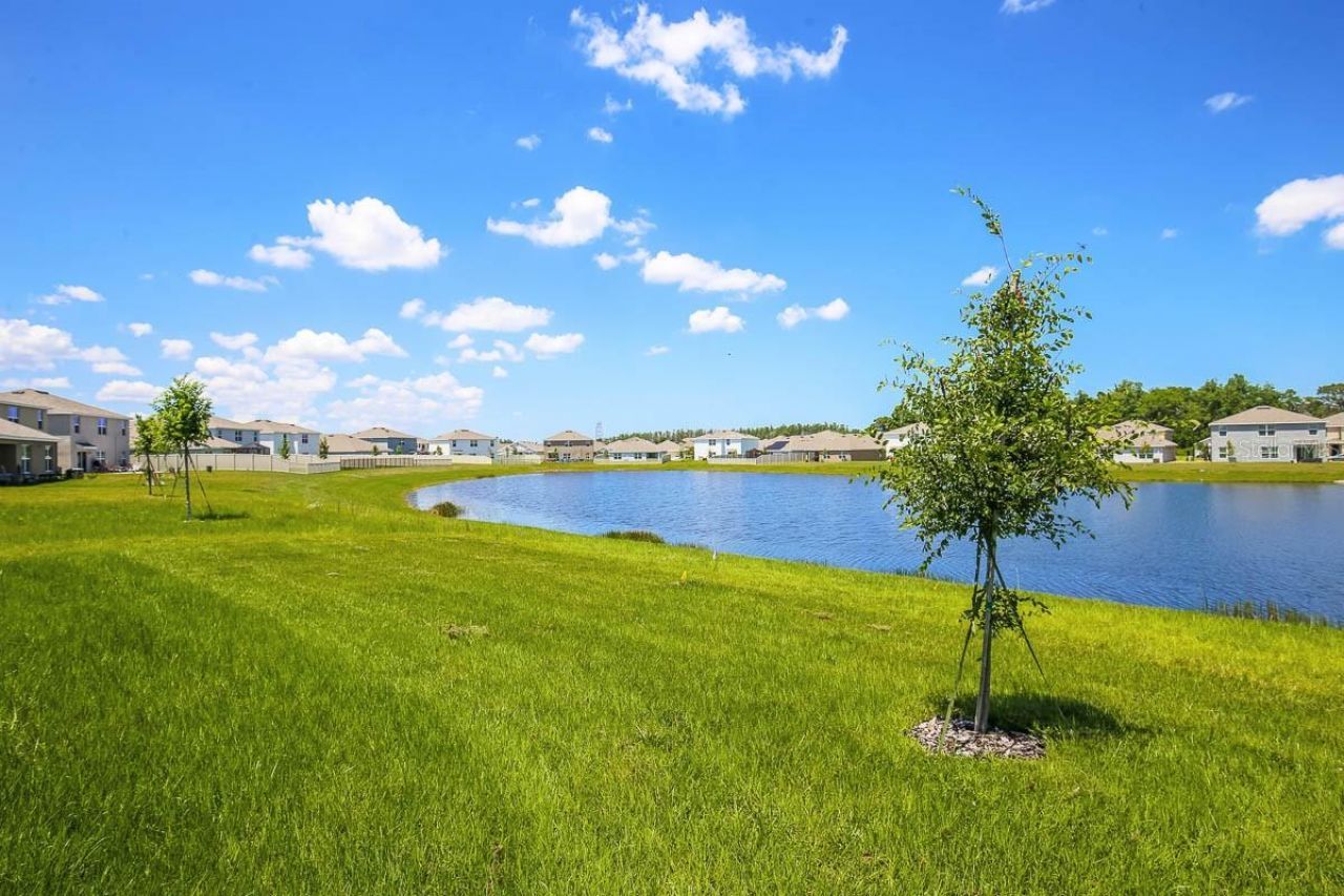 16530 Windmill Forge Pass, Wimauma, FL 33598 Photo