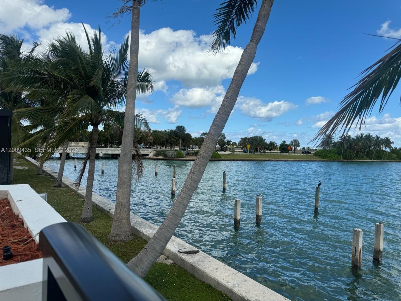 600 NE 36th St, Unit 1109, Miami, FL 33137 Photo