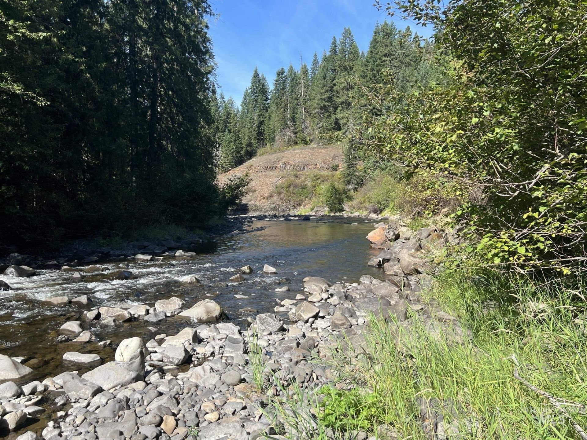 5856 Lacey Meadows Rd, Weippe, ID 83553 Main Photo