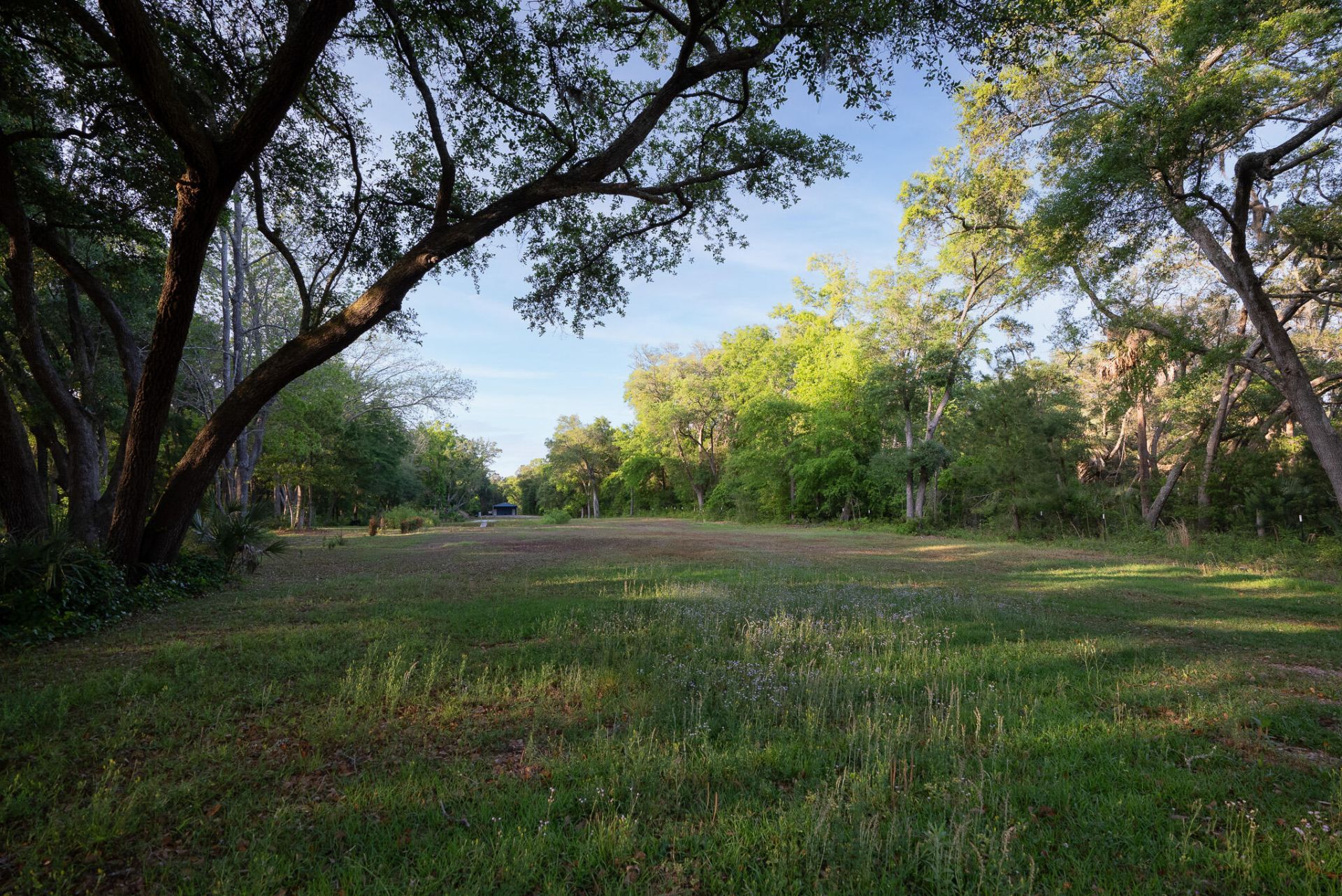 3505 Legareville Road Photo 19