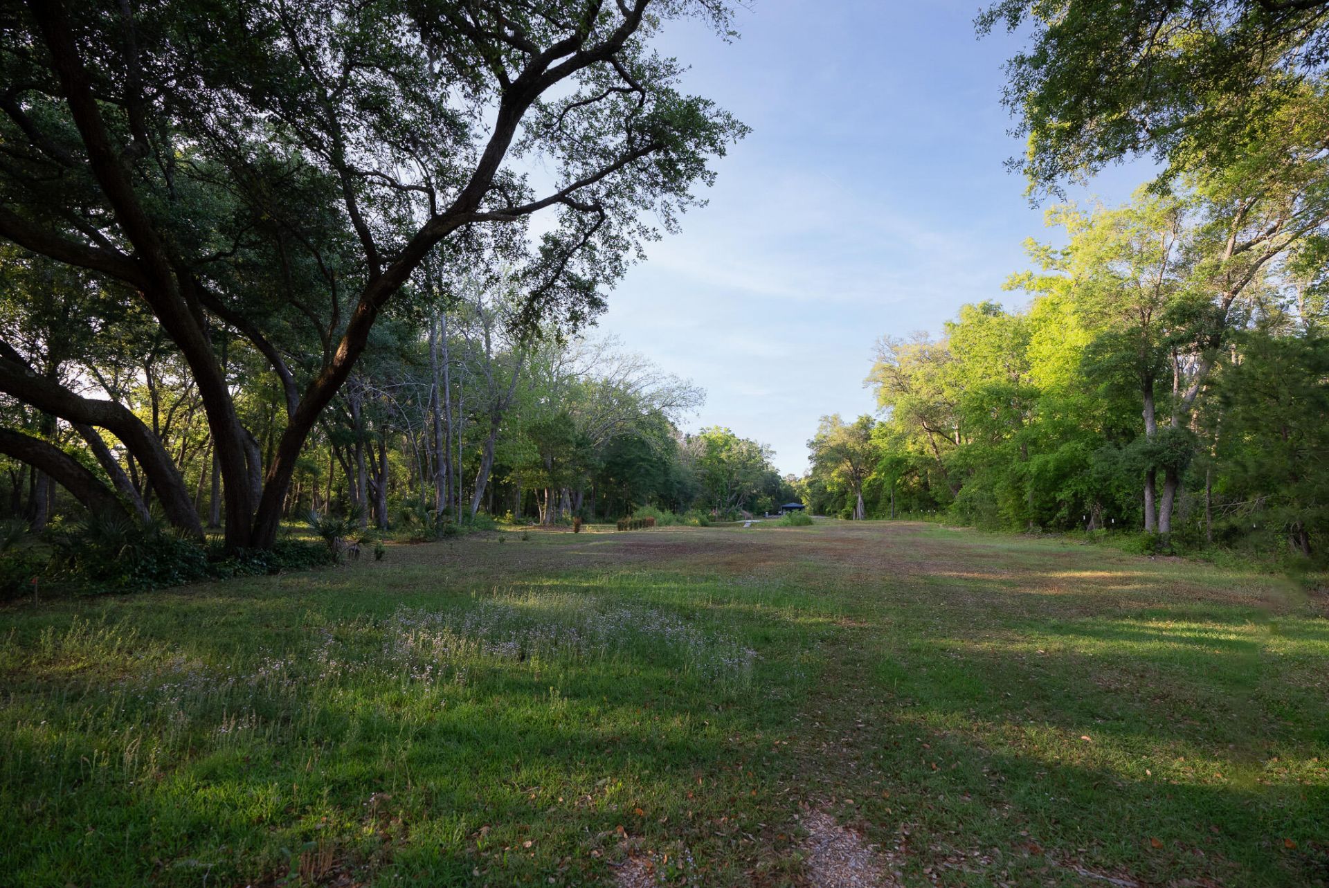 3505 Legareville Road Photo 20