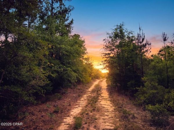 0000 Broadview Avenue, Alford, FL 32420