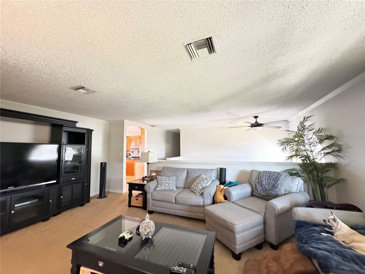 607 W State Road 630, Frostproof, FL 33843 Photo