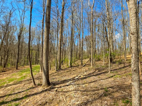 0 Dennis Road , Unit (Tract 1 a, Zanesville, OH 43701