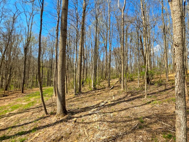 0 Dennis Road , Unit (Tract 1 a, Zanesville, OH 43701 Photo 1