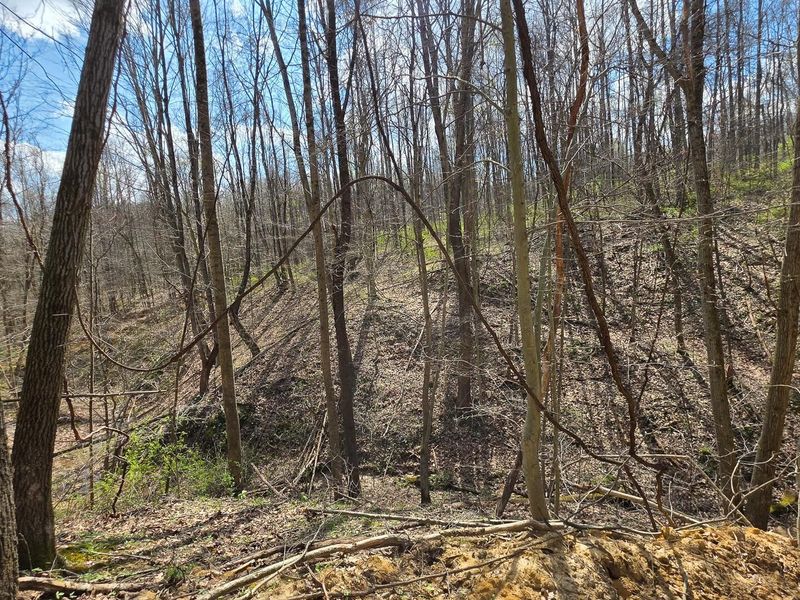 0 Dennis Road , Unit (Tract 1 a, Zanesville, OH 43701 Photo 10