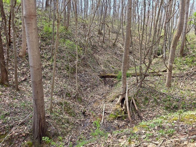 0 Dennis Road , Unit (Tract 1 a, Zanesville, OH 43701 Photo 11