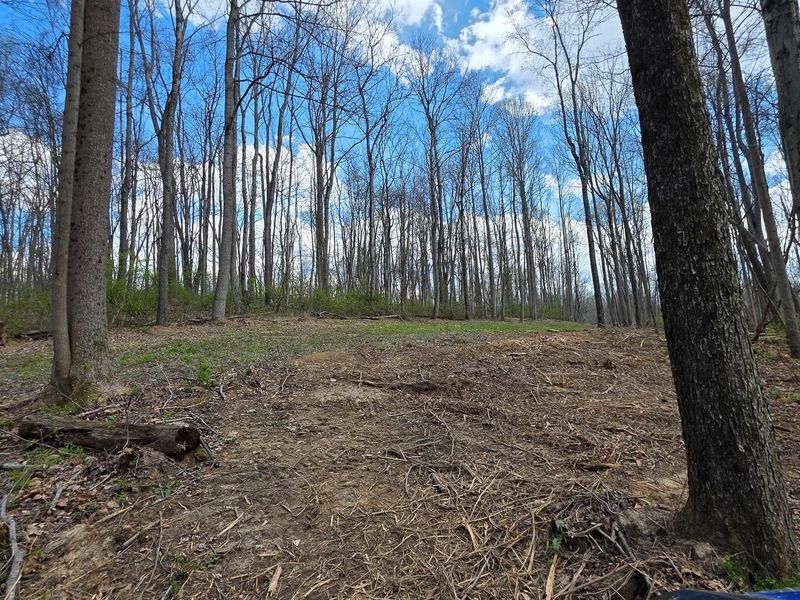0 Dennis Road , Unit (Tract 1 a, Zanesville, OH 43701 Photo 13