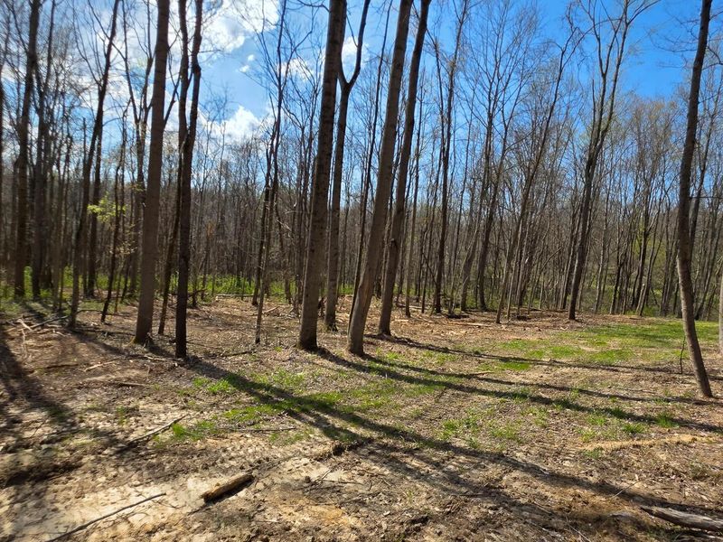 0 Dennis Road , Unit (Tract 1 a, Zanesville, OH 43701 Photo 2