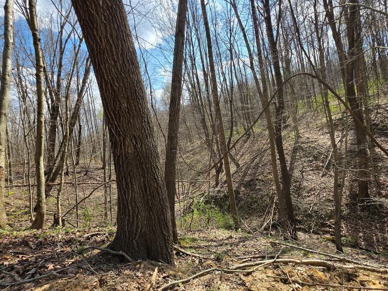 0 Dennis Road , Unit (Tract 1 a, Zanesville, OH 43701 Photo 3