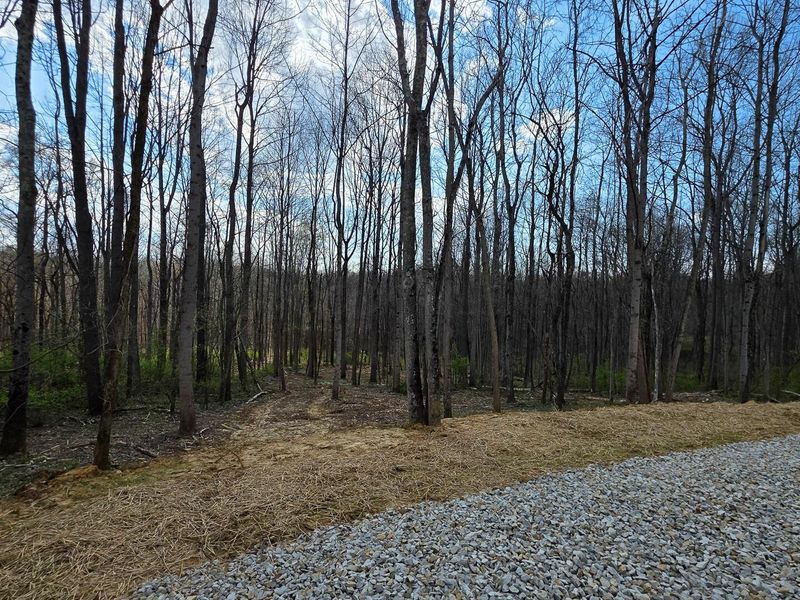 0 Dennis Road , Unit (Tract 1 a, Zanesville, OH 43701 Photo 5