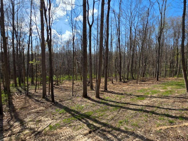 0 Dennis Road , Unit (Tract 1 a, Zanesville, OH 43701 Photo 6