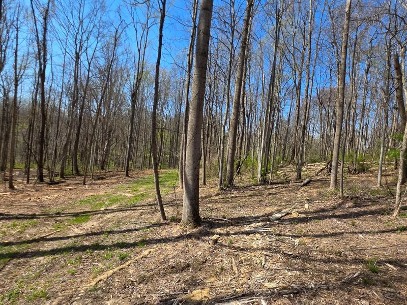 0 Dennis Road , Unit (Tract 1 a, Zanesville, OH 43701 Photo 7
