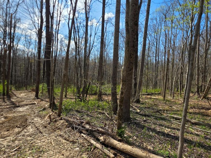 0 Dennis Road , Unit (Tract 1 a, Zanesville, OH 43701 Photo 8
