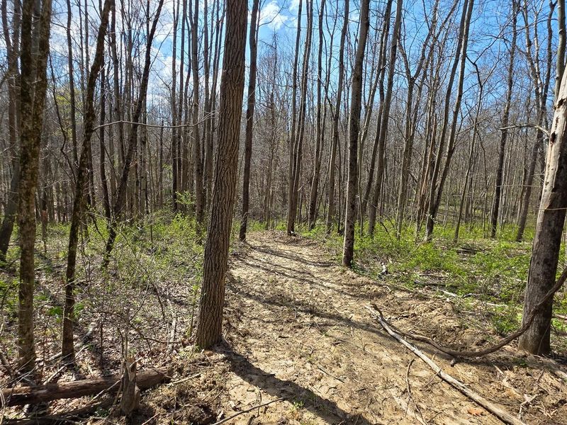 0 Dennis Road , Unit (Tract 1 a, Zanesville, OH 43701 Photo 9