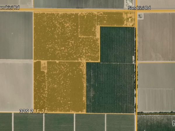 0 100 acres Citrus, Arvin, CA 93203