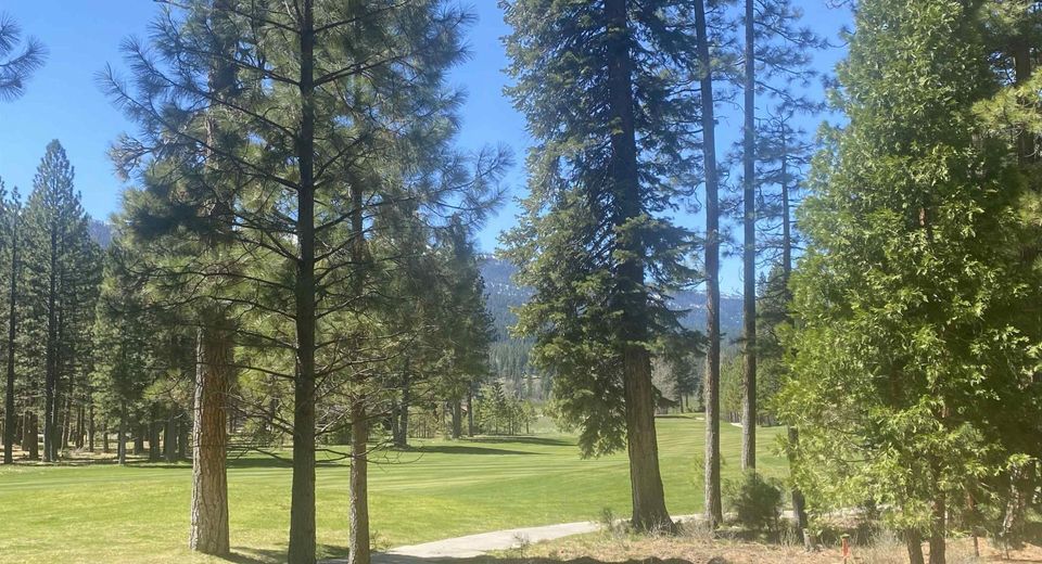 921 Prospector Drive, Clio, CA 96106 Photo