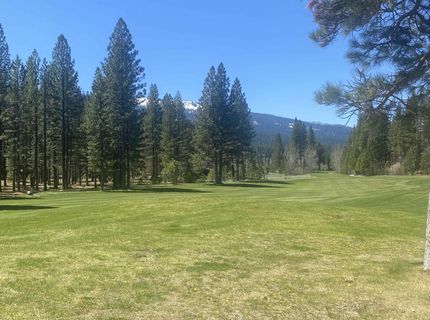 921 Prospector Drive, Clio, CA 96106 Photo