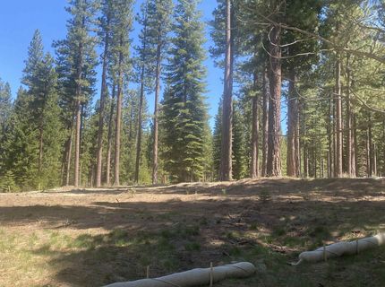 921 Prospector Drive, Clio, CA 96106 Photo