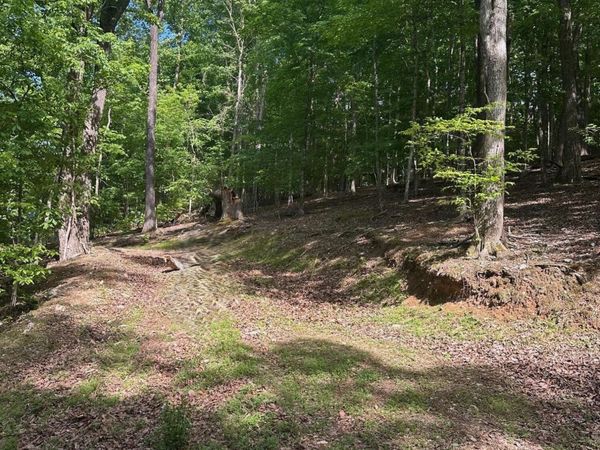 490 Fox Ridge Lane, Caryville, TN 37714