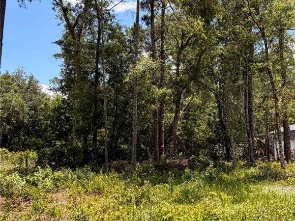 6327 FIG AVENUE, WEBSTER, FL 33597