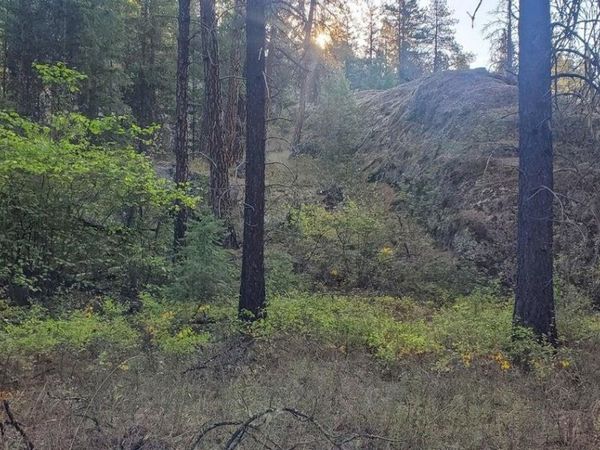 3733-XX Sand Creek Rd, Kettle Falls, WA 99141