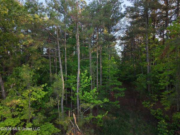 Stewart Weir Road, Stewart, MS 39767