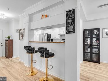 46606 DRYSDALE TERRACE , Unit 101, STERLING, VA 20165