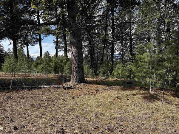 1483 Pine Lakes Ranch Rd, Cascade, ID 83611